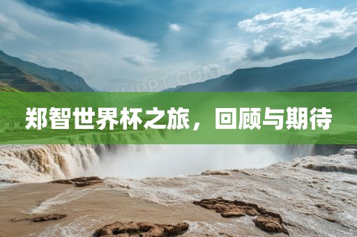 郑智世界杯之旅，回顾与期待