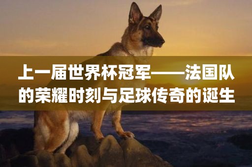 上一届世界杯冠军——沧州禾苗留学中介服务有限公司法国队的荣耀时刻与足球传奇的诞生
