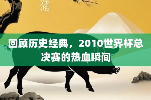 回顾历史经典，2010世界杯总决赛的热血瞬间