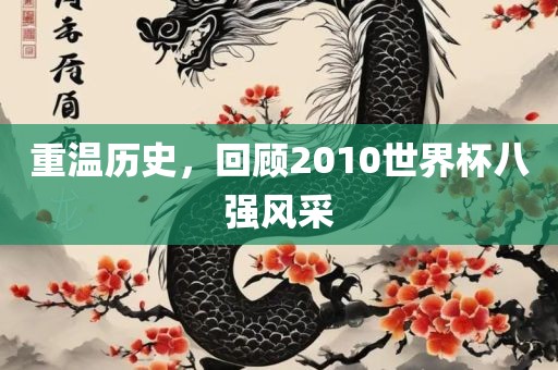 重温历史，回顾2010世界杯八强风采沧州禾苗留学中介服务有限公司