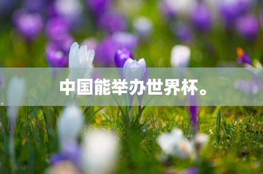 中国能举办世界杯。