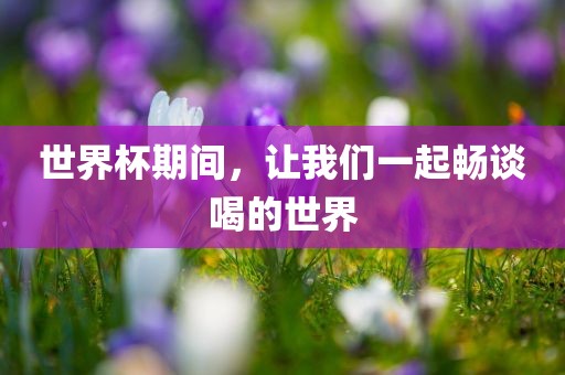 世界杯期间，让我们一起畅谈喝的世界沧州禾苗留学中介服务有限公司