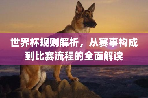 世界杯规则解析，从赛事构成到比赛流程的全面解读