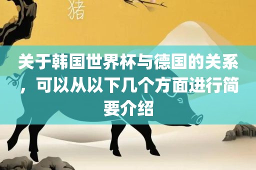 关于韩国世界杯与德国的关系，可以从以下几个方面进行简要介绍