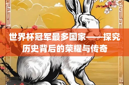 linwanting 第5页