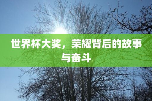 世界杯大奖，荣耀背后的故事与奋斗
