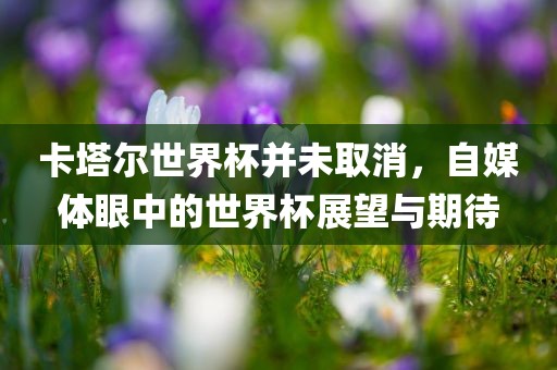 卡塔尔世界杯 第2页