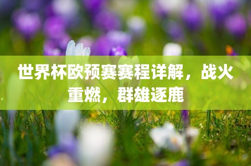 世界杯欧预赛赛程详解，战火重燃，群雄逐鹿