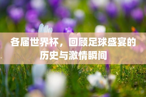 各届世界杯，回顾足球盛宴的历史与激情瞬间沧州禾苗留学中介服务有限公司