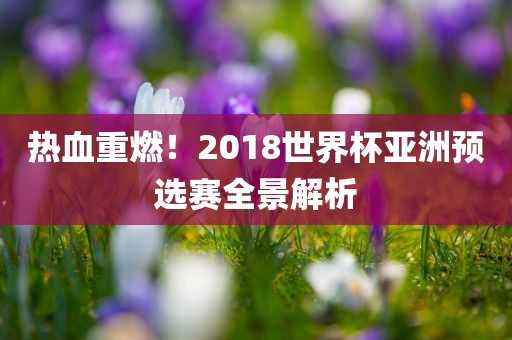 热血重燃！2018世界杯亚洲预选赛全景解析