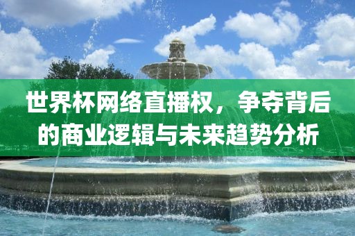 世界杯网络直播权，争夺背后的商业逻辑与未来趋势分析沧州禾苗留学中介服务有限公司