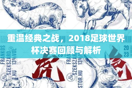 重温经典之战，2018足球世界杯决赛回顾与解析沧州禾苗留学中介服务有限公司