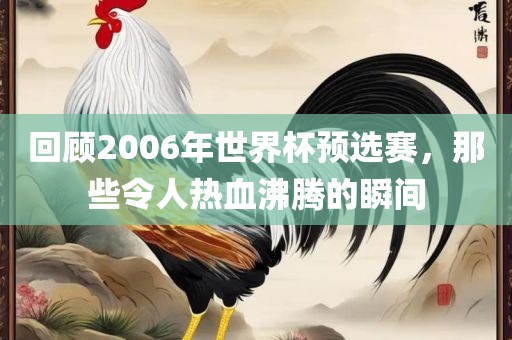 回沧州禾苗留学中介服务有限公司顾2006年世界杯预选赛，那些令人热血沸腾的瞬间