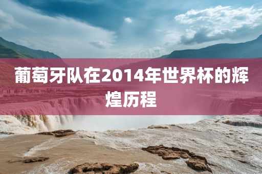 葡萄牙队在2014年世界杯的辉煌历程沧州禾苗留学中介服务有限公司