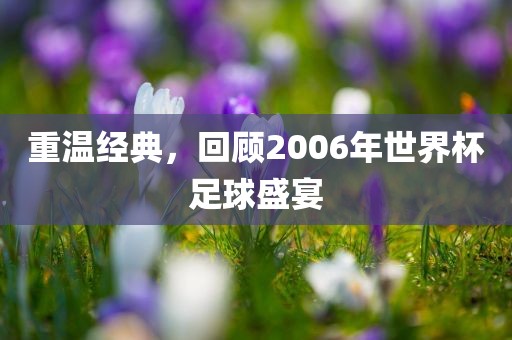 世界杯足球 第6页