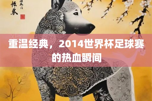 重温经典，2014世界杯足球赛的热血瞬间