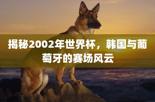 揭秘2002年世界杯，韩国与葡萄牙的赛场风云
