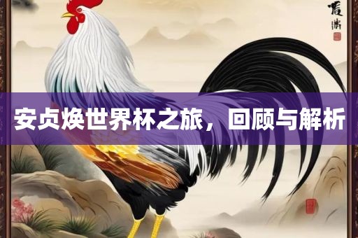 安贞焕世界杯之旅，回顾与解析