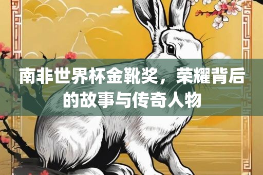 南非世界杯金靴奖，荣耀背后的故事与传奇人沧州禾苗留学中介服务有限公司物
