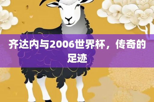 齐达内与2006世界杯，传奇的足迹