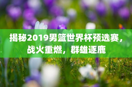 揭秘2019男篮世界杯预选赛，战火重燃，群雄逐鹿沧州禾苗留学中介服务有限公司