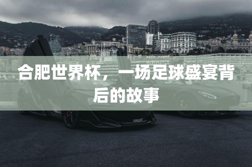 合肥世界杯，一场足球盛宴背后的故事沧州禾苗留学中介服务有限公司
