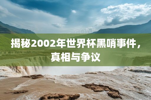 揭秘2002年世界杯黑哨事件，真相与争议