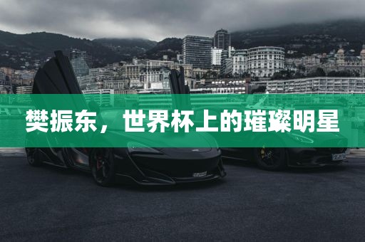 樊振东，世界杯上的璀璨明星