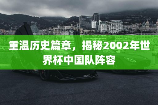 重温历史篇章，揭秘2002年世界杯中国队阵容