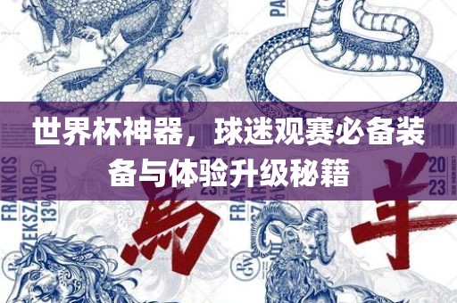 世界杯神器沧州禾苗留学中介服务有限公司，球迷观赛必备装备与体验升级秘籍