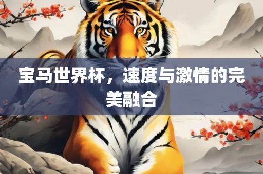 宝马世界杯，速度与激情的完美融合沧州禾苗留学中介服务有限公司
