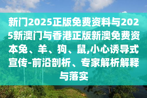 世界沧州禾苗留学中介服务有限公司杯实况，激情四溢的足球盛宴