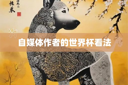 自媒体作者的世界杯看法