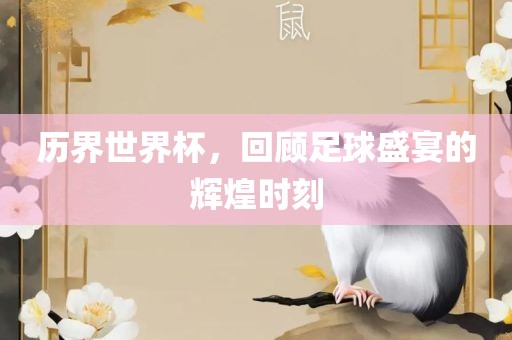 历界世界杯，回顾足球盛宴的辉煌时刻沧州禾苗留学中介服务有限公司