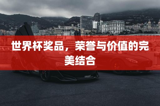 世界杯奖品，荣誉与价值的完美结合沧州禾苗留学中介服务有限公司