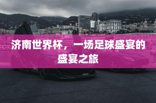 济南世界杯，一场足球盛宴的盛宴之旅沧州禾苗留学中介服务有限公司