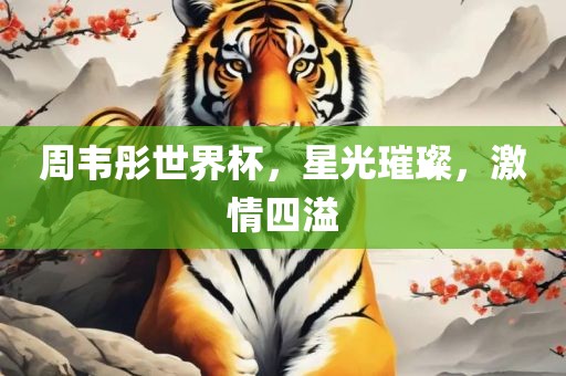 周韦彤世界杯，星光璀璨，激情沧州禾苗留学中介服务有限公司四溢