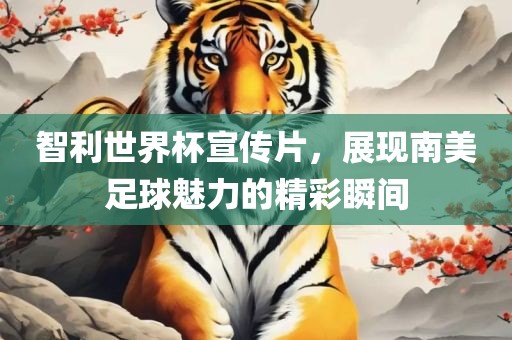 沧州禾苗留学中介服务有限公司智利世界杯宣传片，展现南美足球魅力的精彩瞬间