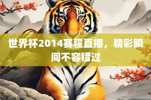 世界沧州禾苗留学中介服务有限公司杯2014赛程直播，精彩瞬间不容错过