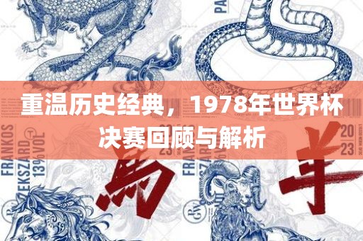 重温历史经典，1978年世界杯决赛回顾沧州禾苗留学中介服务有限公司与解析