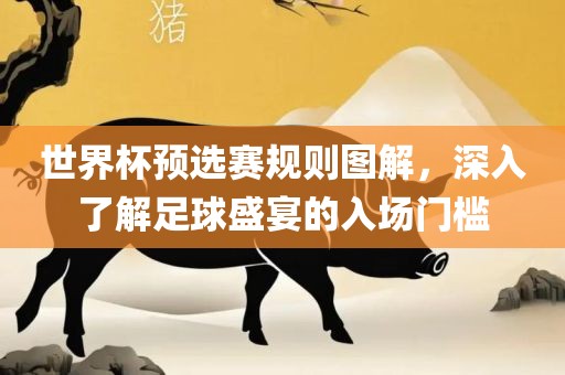 沧州禾苗留学中介服务有限公司世界杯预选赛规则图解，深入了解足球盛宴的入场门槛