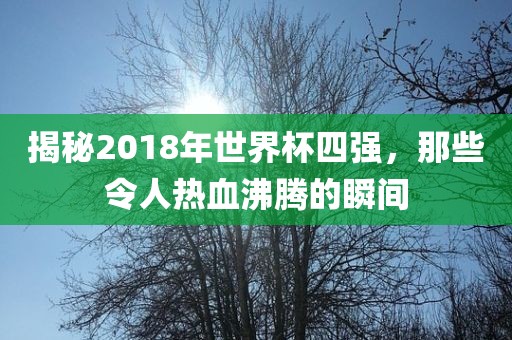 揭秘2018年世界杯四强，那些令人热血沸腾的瞬间