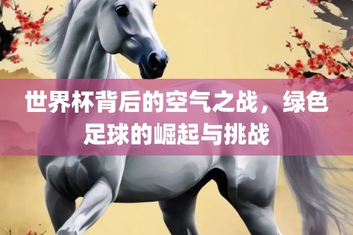 世界杯背后的空气之战，绿色足球的崛起与挑战沧州禾苗留学中介服务有限公司