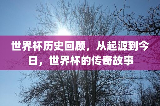 世界杯历史回顾，从起源到今日，世界杯的传奇故事