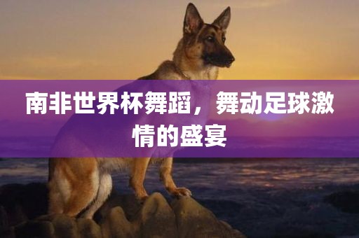 南非世界杯舞蹈，舞动足球激情的盛宴