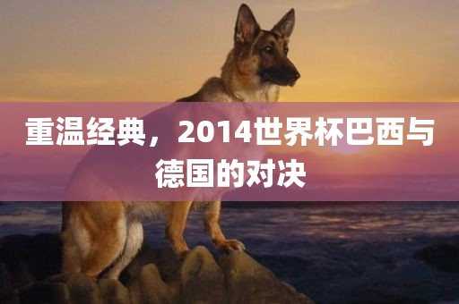 重温经典，2014世界杯巴西与德国的对决