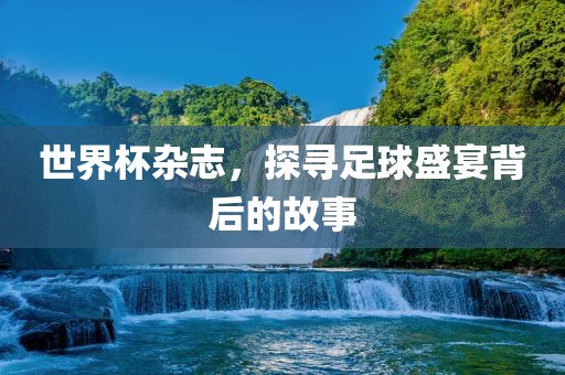 世界杯杂志，探寻足球盛宴背后沧州禾苗留学中介服务有限公司的故事