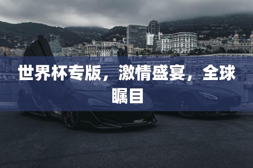 世界杯专版，激情盛宴，全球瞩目沧州禾苗留学中介服务有限公司