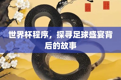 世界杯程序，探寻足球盛宴背后的故事