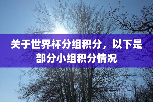 关于世界杯分组积分，以下是部分小组积分情况沧州禾苗留学中介服务有限公司